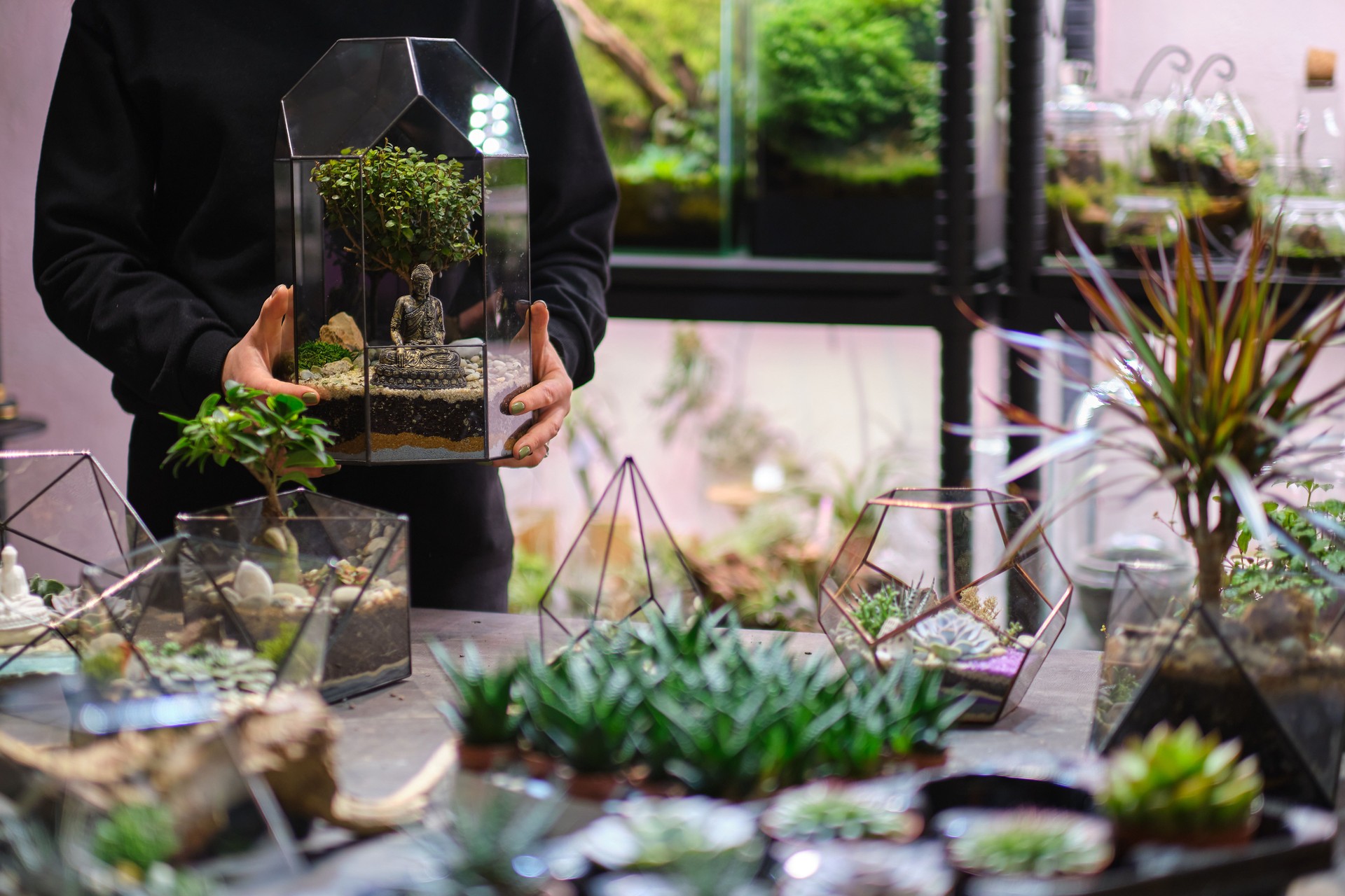 Mujer sosteniendo jarrón de florarium geométrico de vidrio con mini suculento jardín y jarrones florarium en la mesa. Concepto de florista profesional. Plantas coloridas que crecen en vidrio geométrico